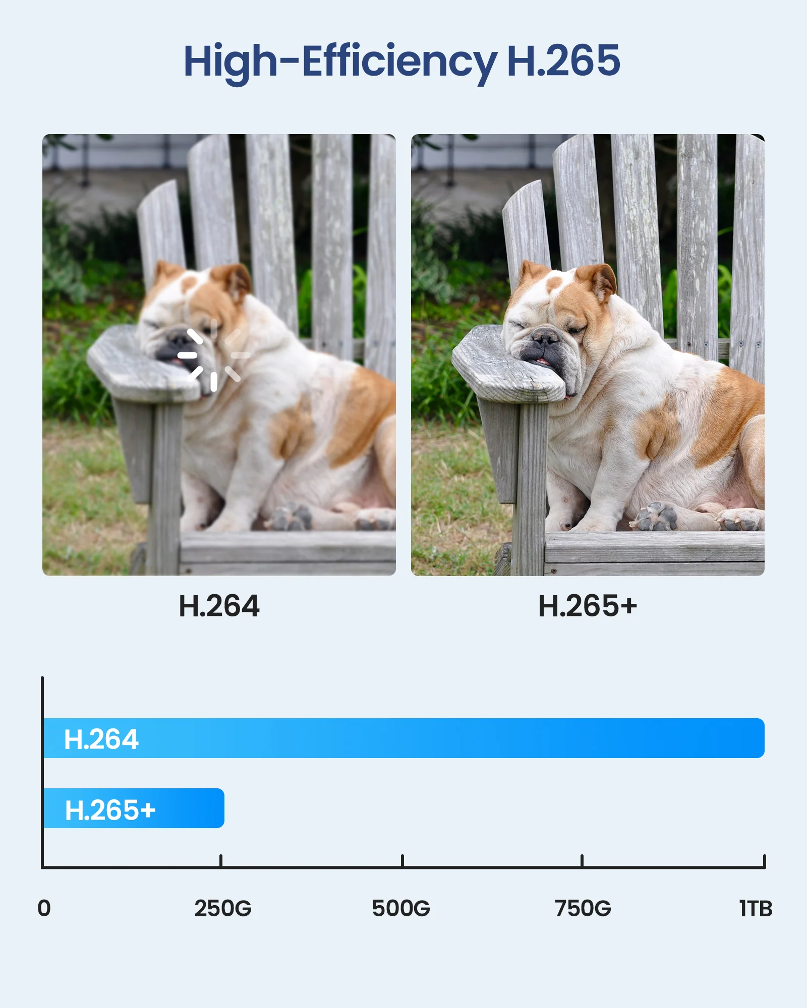 C124 1080P 8 Channel Security Camera System (No hard drive included) - Image 5